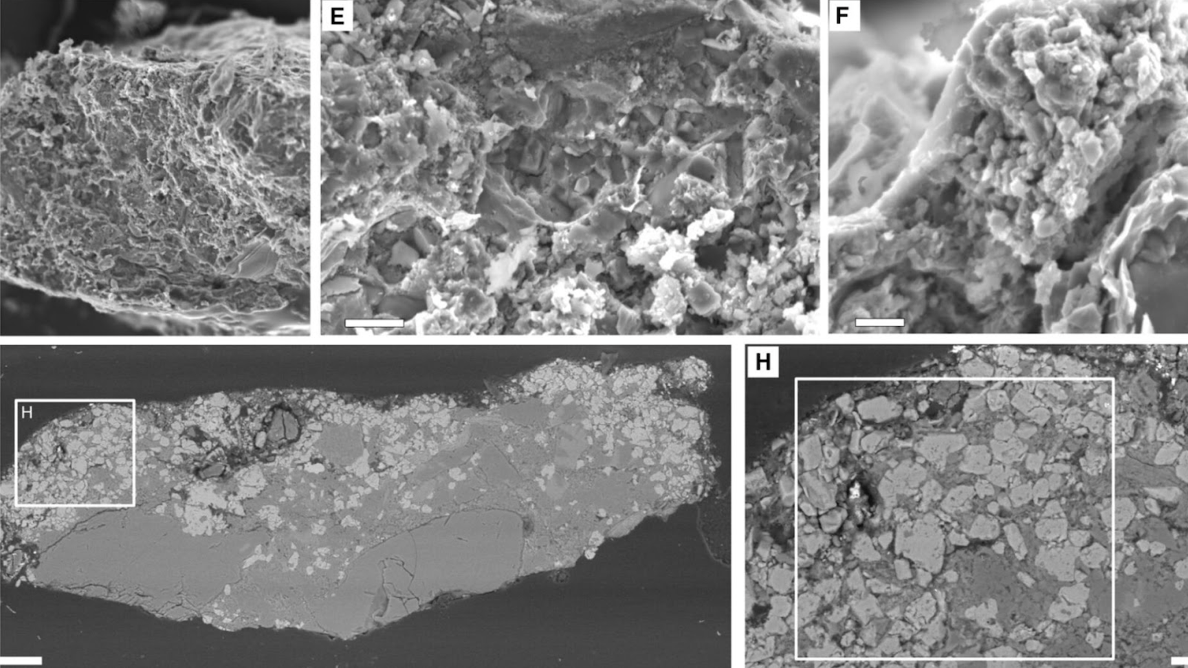 The image is a grayscale montage of scanning electron microscope images showing highly magnified textures of fossilized material. Image E displays a fibrous and porous surface, while image F zooms in further to reveal the intricate crystalline structure of the fossil. The lower part of the image, labeled H, shows an overview of a fossil cross-section with varied density and composition, and an inset providing a closer look at the granular texture